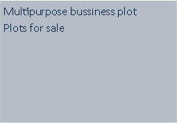 Tekstvak: Multipurpose bussiness plot Plots for sale